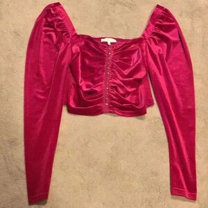 Klesis Pink Velvet Long Sleeve Top